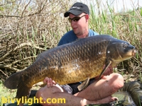 www.Bivylight.com "Das Original"