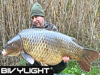 Goldener Ebro Krautbohrer! - Daniel / DE