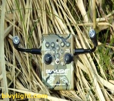 Bivylight Carpsignal BL SX-1